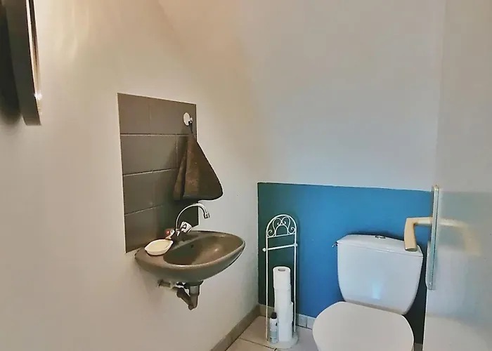 Domaine Des Mazures, 17 Personnes Tatil Evi Niafles