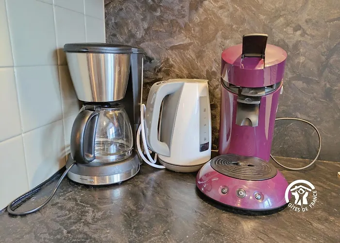 Domaine Des Mazures, 17 Personnes Tatil Evi *